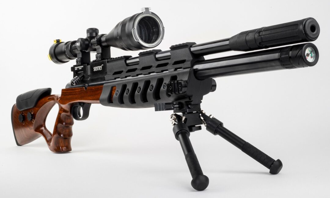 What Is Pre Charged Pneumatic Air Rifles Explained Sexiz Pix