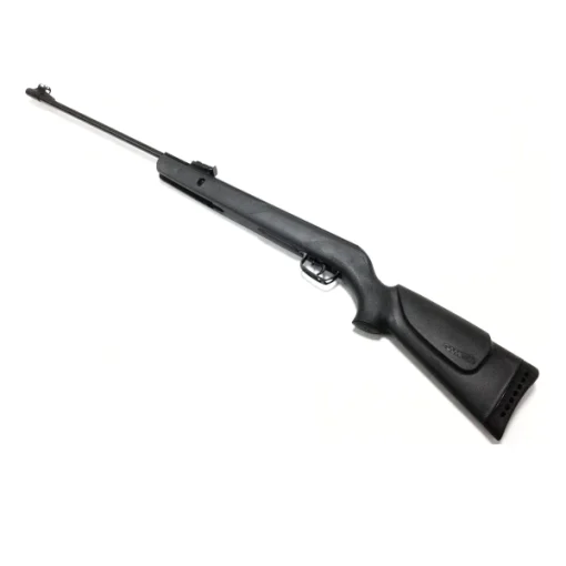 Gamo Hornet .22 Air Rifle